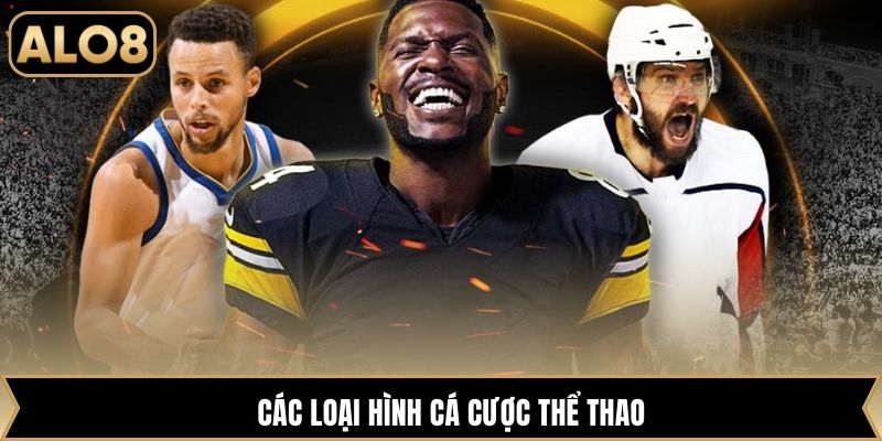 Các loại hình cá cược thể thao