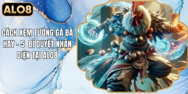 Cách Xem Tướng Gà Đá Hay - 5 Bí Quyết Nhận Diện Tại Alo8