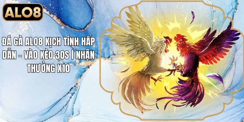 Đá Gà Alo8 Kịch Tính Hấp Dẫn - Vào Kèo 30s | Nhận Thưởng X10