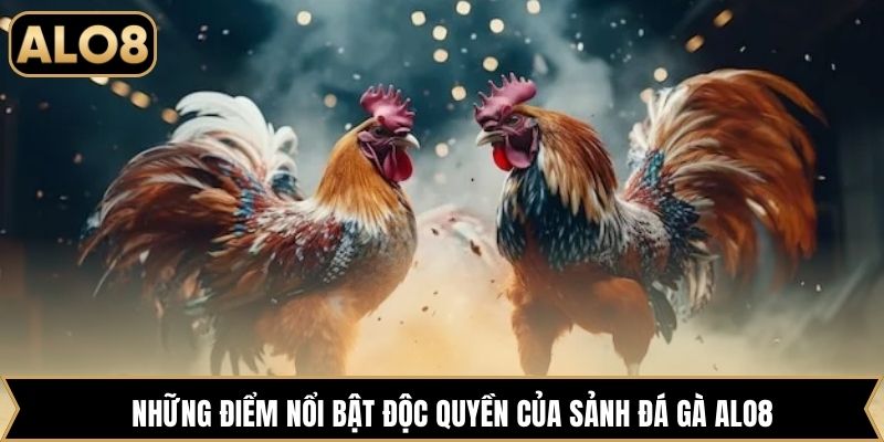 Những điểm nổi bật độc quyền của sảnh đá gà Alo8