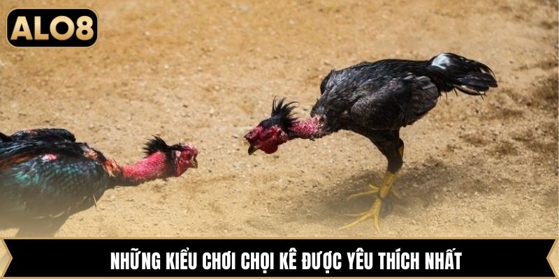Những kiểu chơi chọi kê được yêu thích nhất