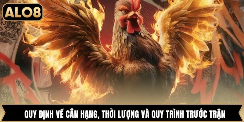 Quy định về cân hạng, thời lượng và quy trình trước trận